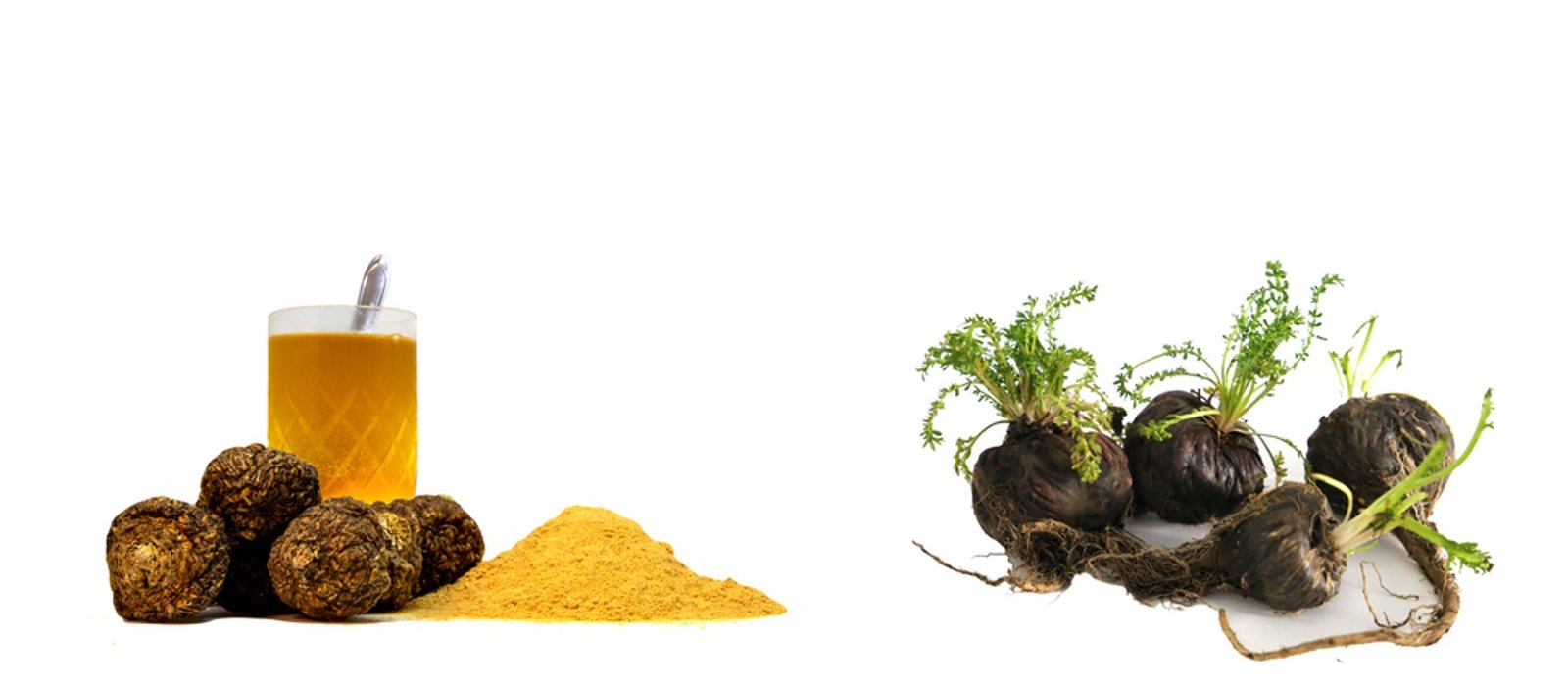 1645458968134199 shutterstock 2028223058