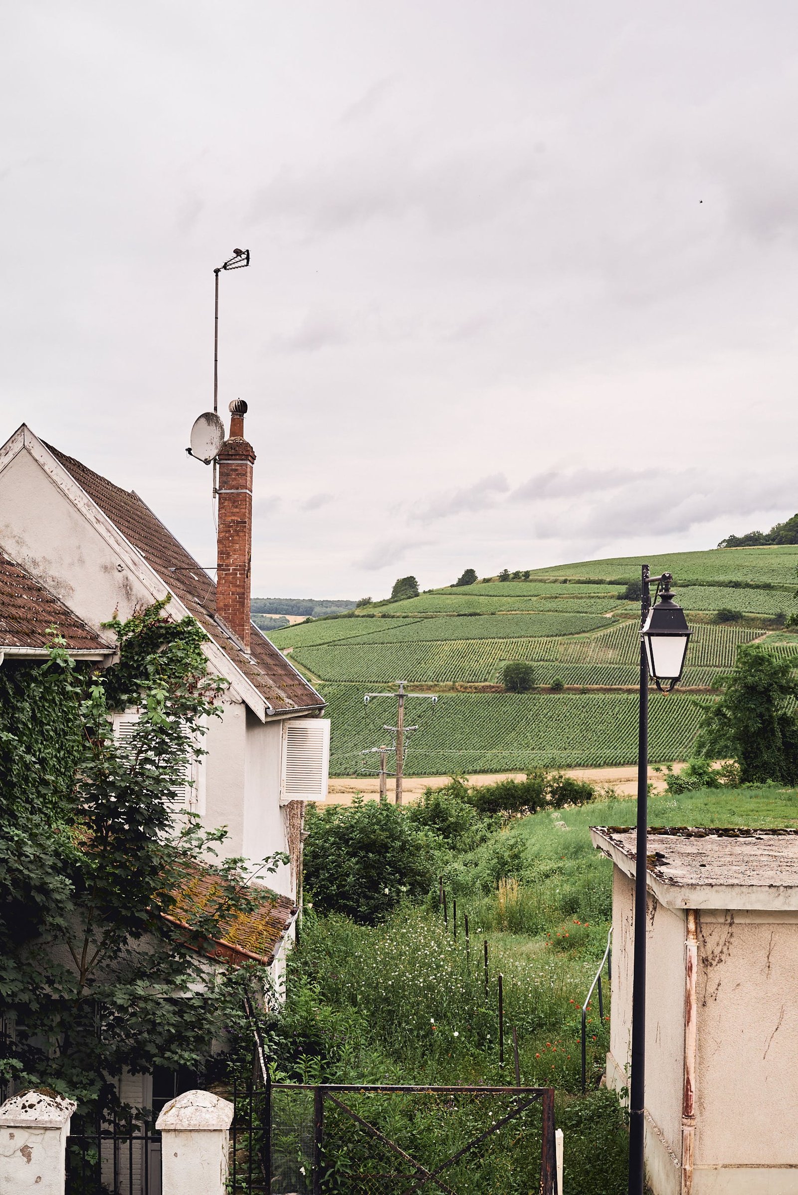 1646231574547568 lofficieldsc05096